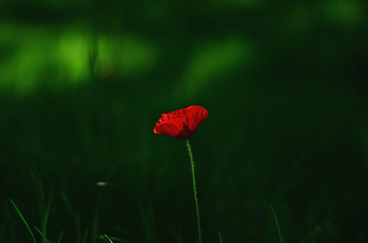 Wyndham ANZAC Dawn Service